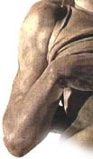 Michaelangelo's Dying Slave