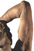 Michaelangelo's Dying Slave